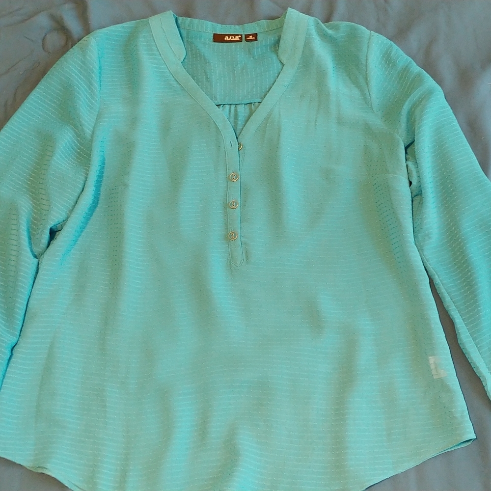 Sheer teal blouse